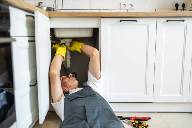 Best Clogged Drain Plumber  in Aurora, IL